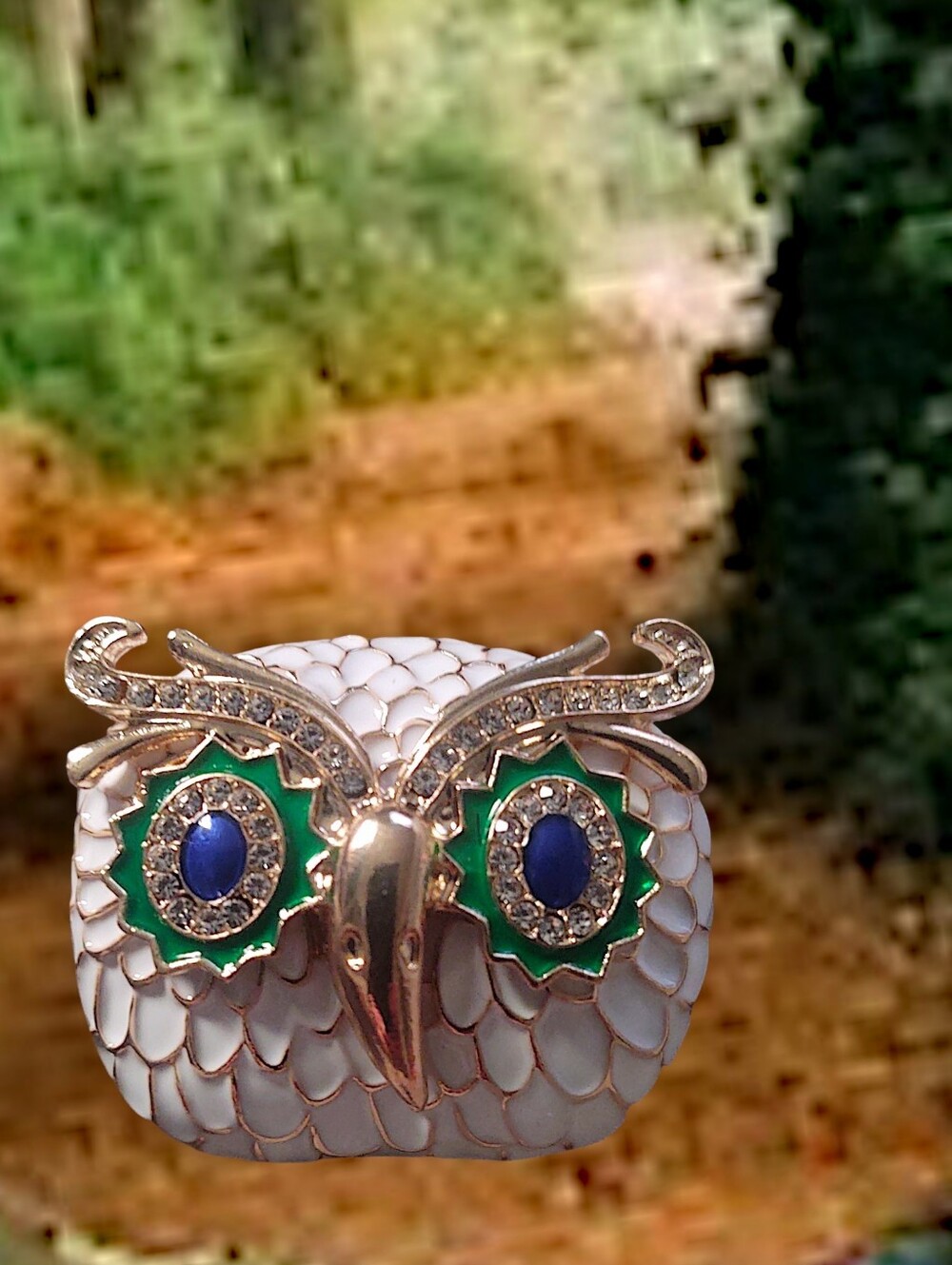 Owl Statement Brooch